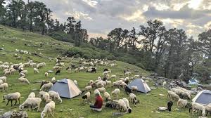 Ranthan Khrak Trek - Image 4