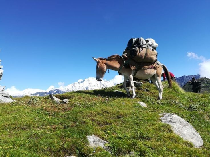 Ranthan Khrak Trek - Image 2