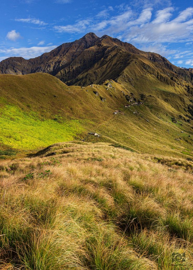 Rudranath Trek - Image 4